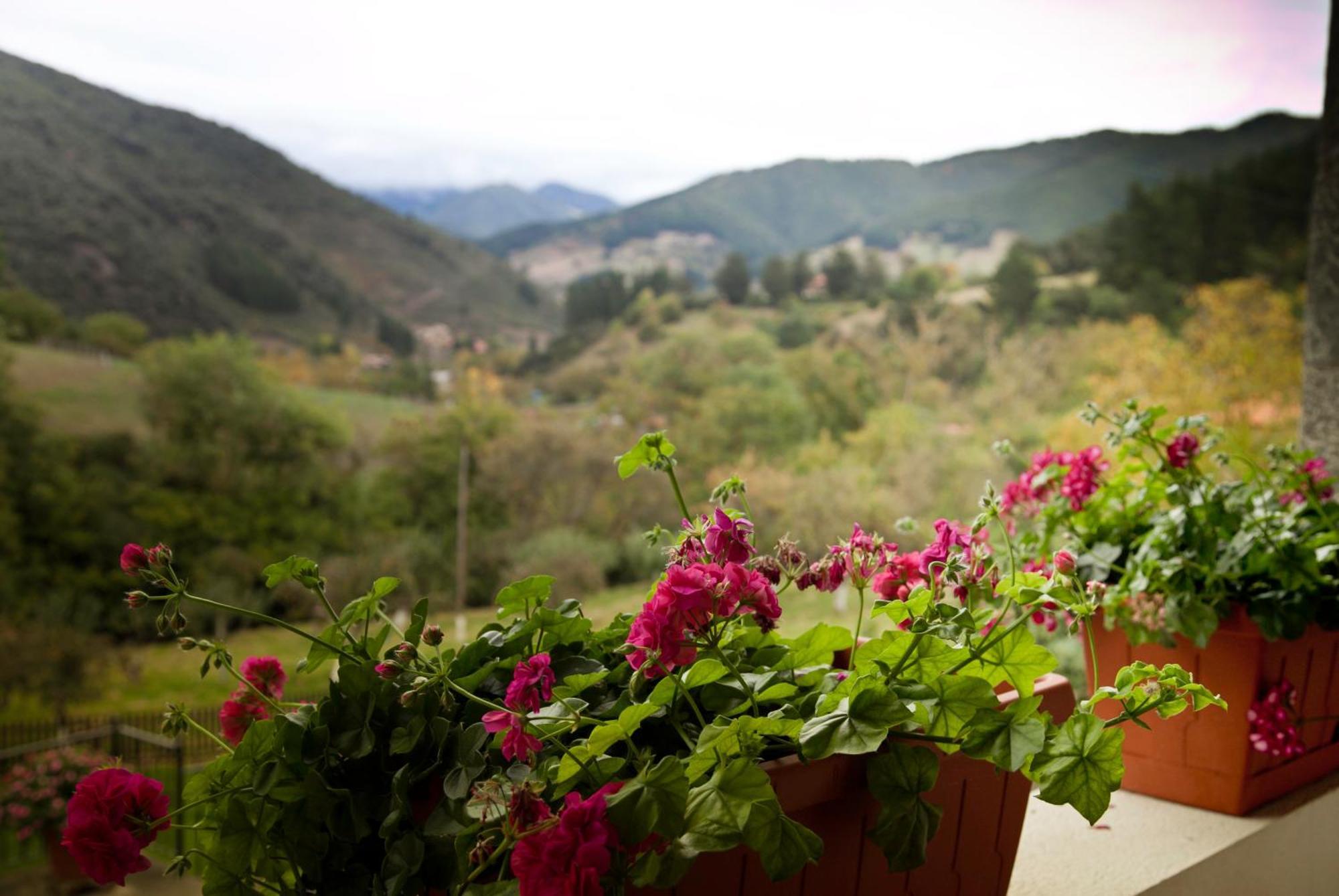 Viviendas Rurales Traldega Turieno Exterior foto